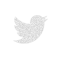 Logo Twitter